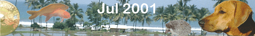 Jul 2001