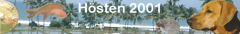 H�sten 2001