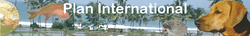 Plan International