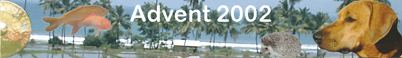 Advent 2002