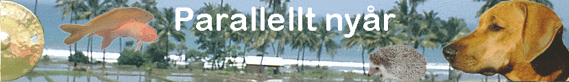 Parallellt ny�r
