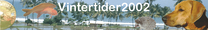 Vintertider2002