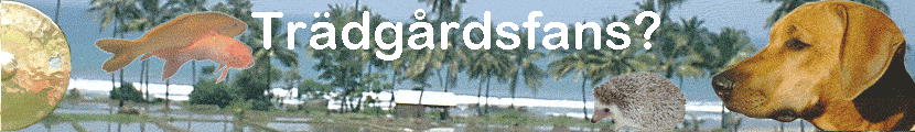 Tr�dg�rdsfans?