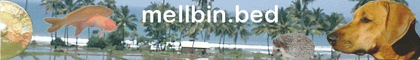 mellbin.bed