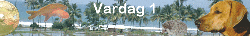Vardag 1