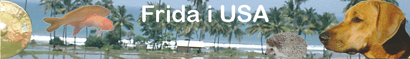 Frida i USA