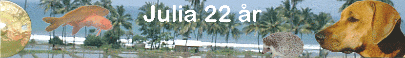 Julia 22 �r