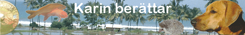 Karin ber�ttar