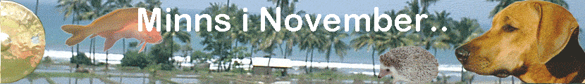 Minns i November..