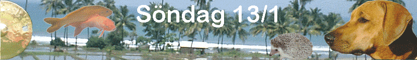 S�ndag 13/1