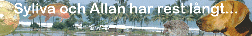 Syliva och Allan har rest l�ngt...