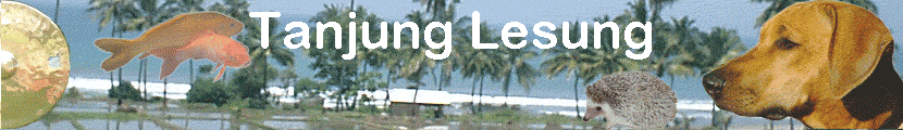 Tanjung Lesung
