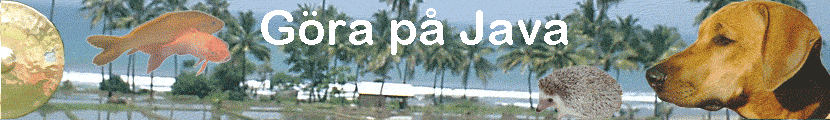 G�ra p� Java
