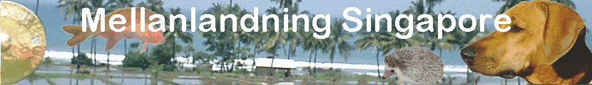 Mellanlandning Singapore