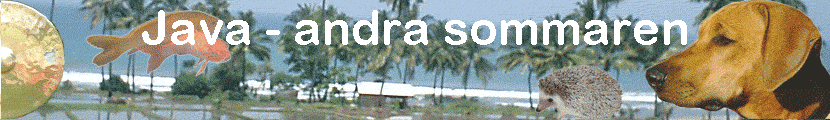 Java - andra sommaren