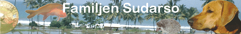 Familjen Sudarso