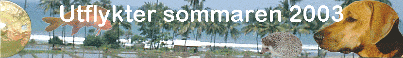 Utflykter sommaren 2003
