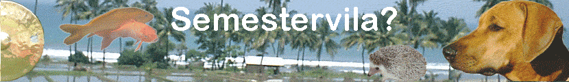Semestervila?