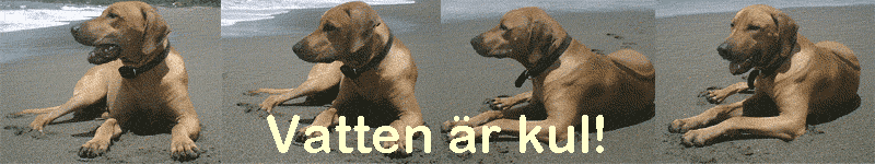 Vatten �r kul!
