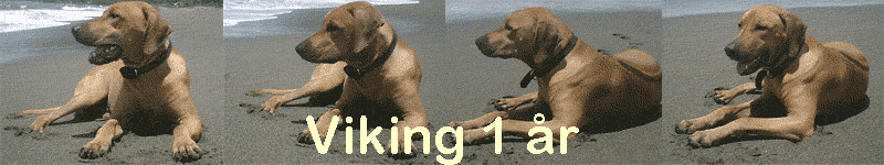 Viking 1 �r