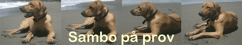 Sambo p� prov