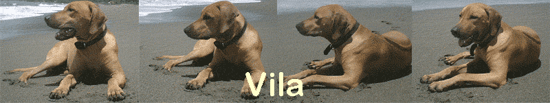 Vila