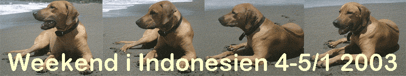Weekend i Indonesien 4-5/1 2003