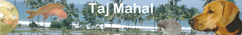 Taj Mahal