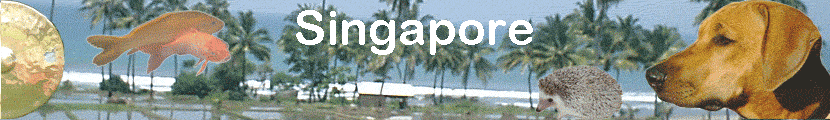 Singapore