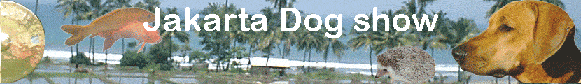 Jakarta Dog show