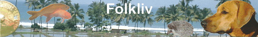Folkliv