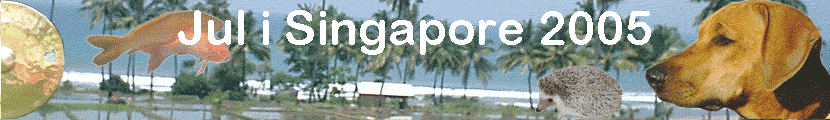 Jul i Singapore 2005