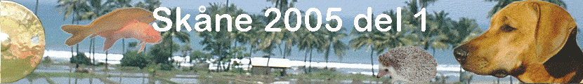 Sk�ne 2005 del 1