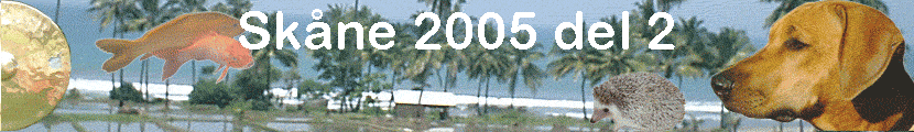 Sk�ne 2005 del 2