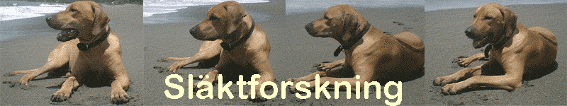 Sl�ktforskning
