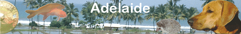 Adelaide