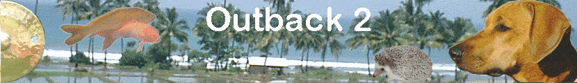 Outback 2