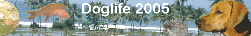 Doglife 2005