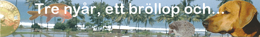 Tre ny�r, ett br�llop och...