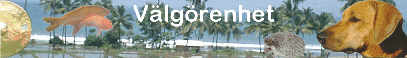 V�lg�renhet