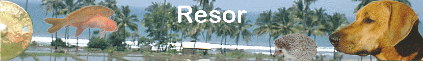 Resor